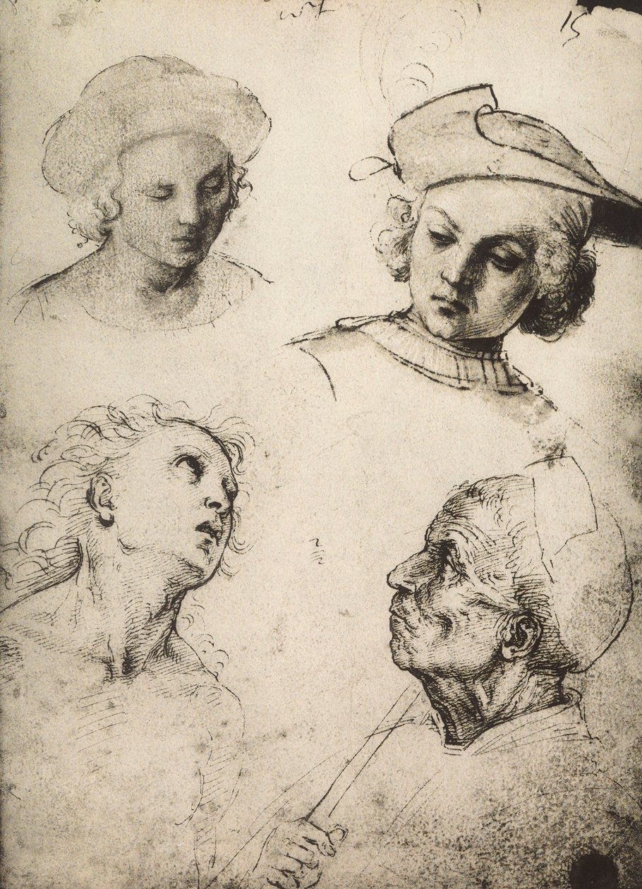 Étude de quatre visages masculins - Raffaello Sanzio Raphael