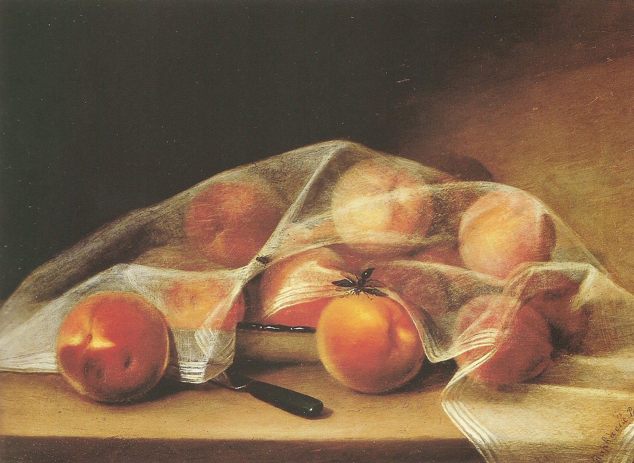 Morceaux de fruits avec des pêches recouvertes d
