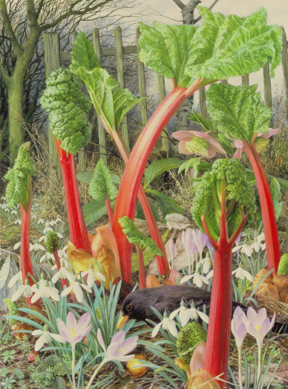 Dans les champs de rhubarbe, 2000 (huile sur carton) - Raymond Booth