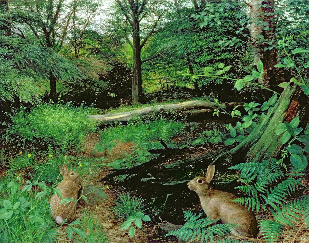 Dans les bois - Une soirée d