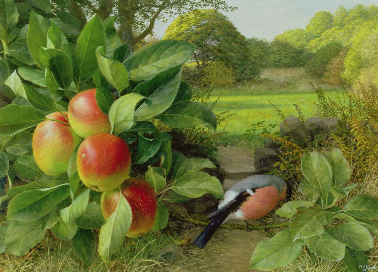 Katja Pomme et Bouvreuil - Raymond Booth