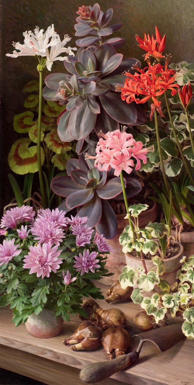 Fleurs d