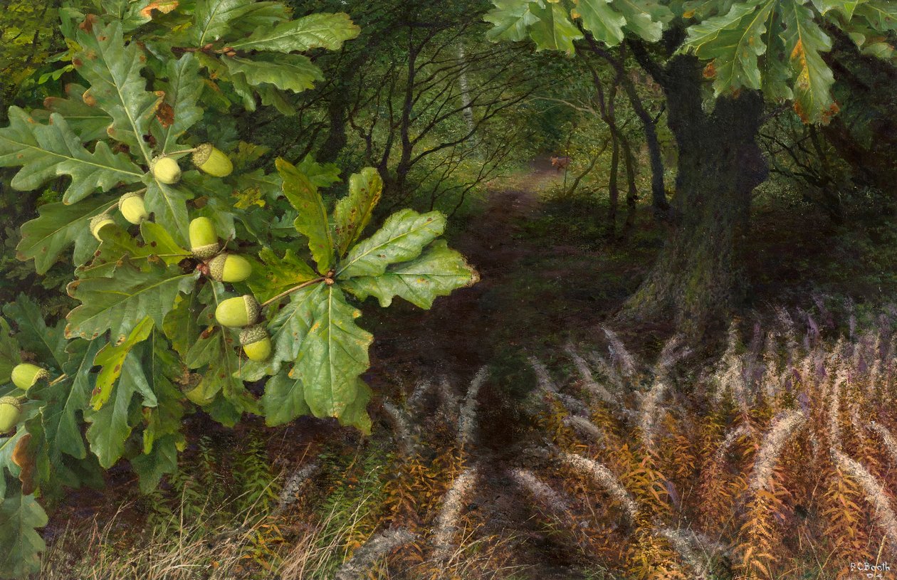 Le chemin des bois (huile sur carton) - Raymond Booth
