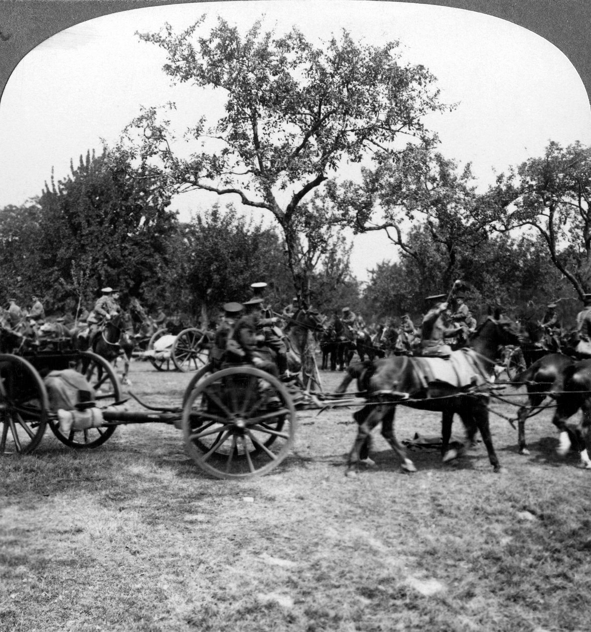 Artillerie tirée par des chevaux, Première Guerre mondiale - Realistic Travels Publishers