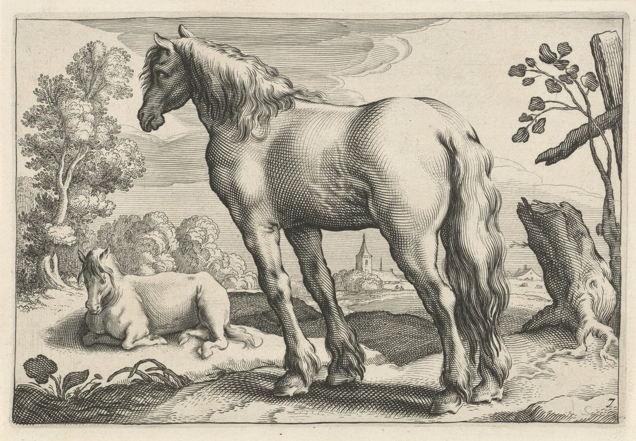 Paysage avec deux chevaux (Diversa Animalia Quadrupedia) - Reinier van Persijn