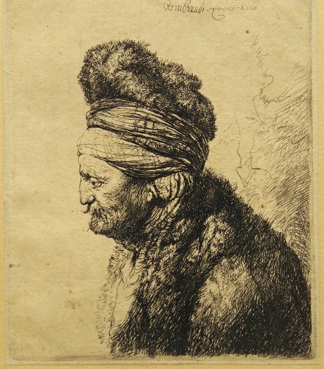 La Deuxième Tête Orientale - Rembrandt van Rijn