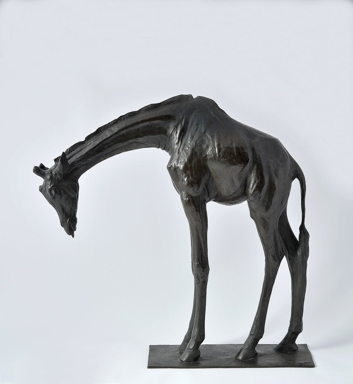 Grande girafe avec tête baissée, modelée 1909-10, coulée avant 1913 - Rembrandt Bugatti