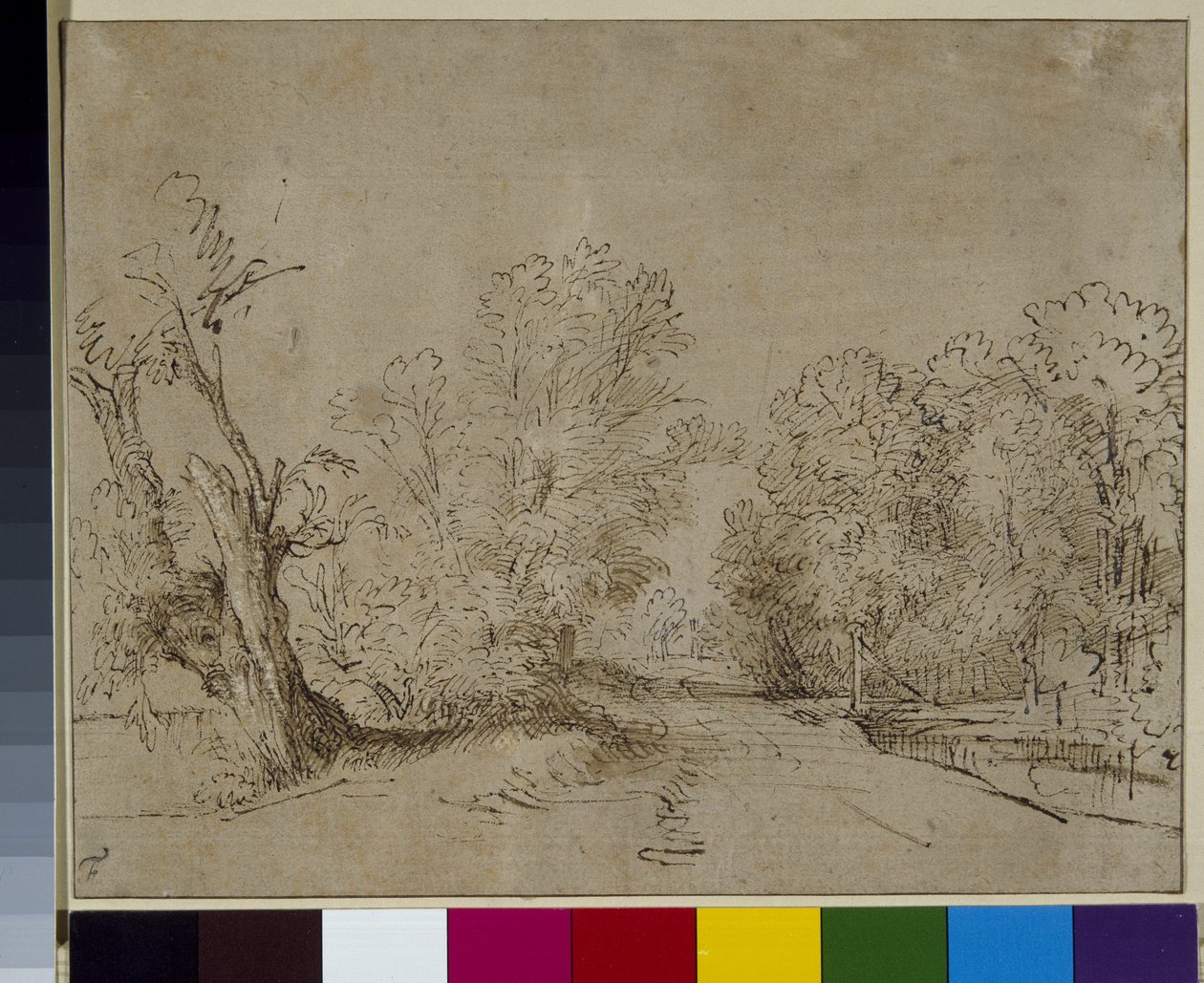 Une route boisée, vers 1650 - Rembrandt Harmensz. van Rijn