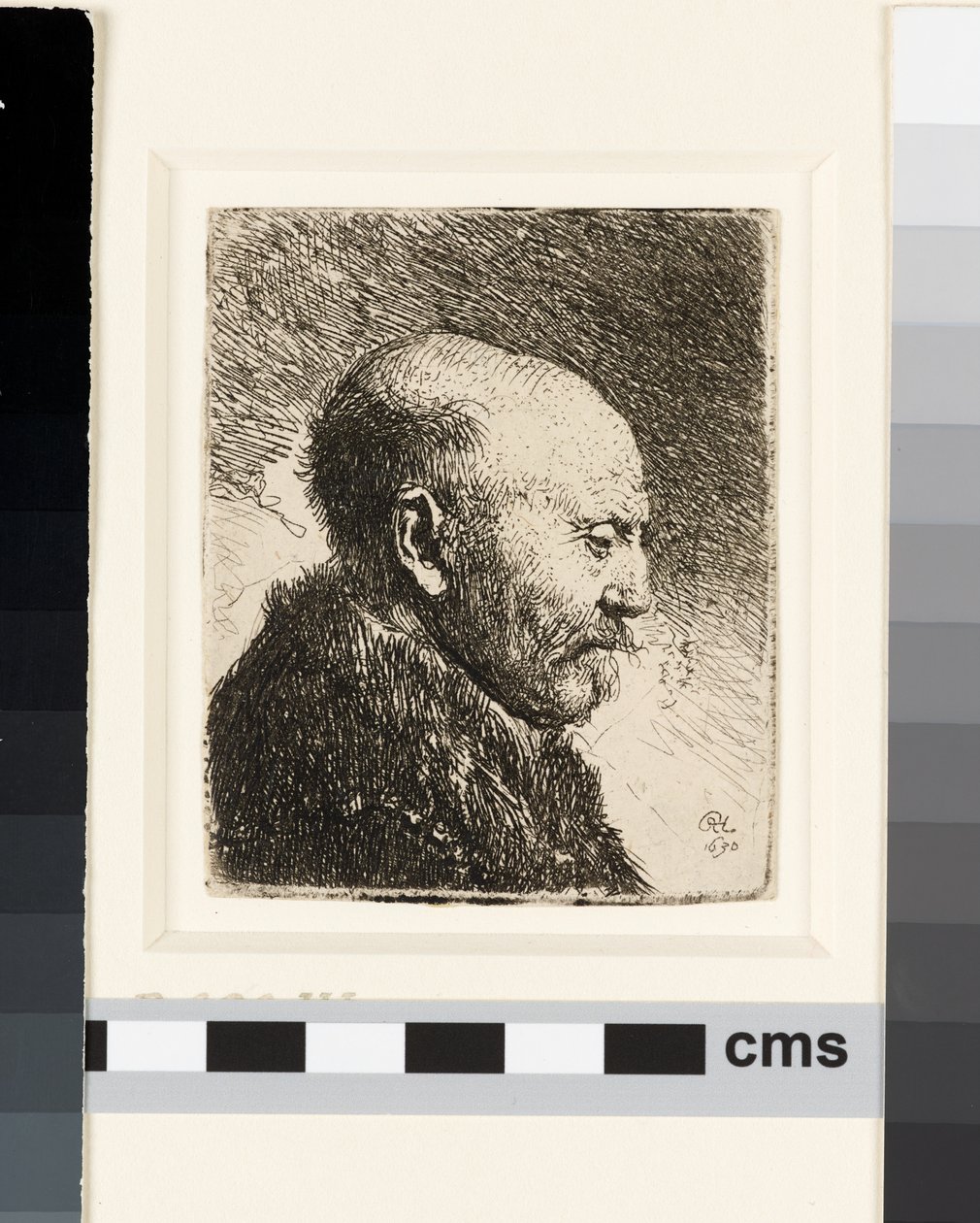 Homme chauve de profil droit : le père de Rembrandt ? - Rembrandt van Rijn