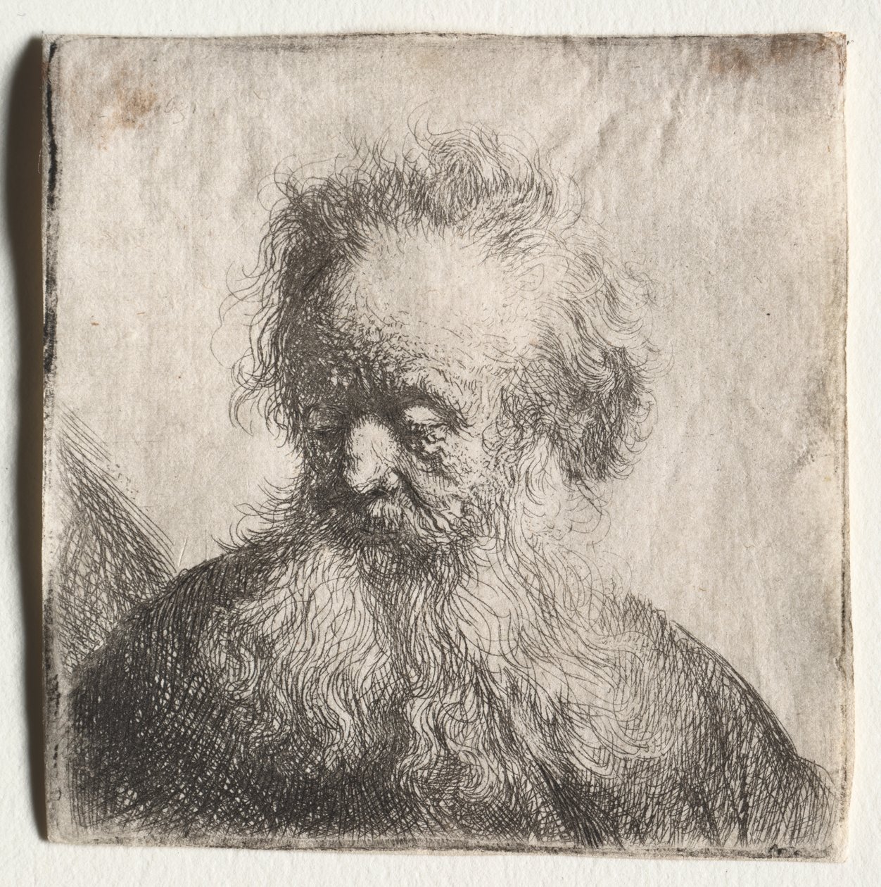 Vieil homme à la barbe naissante : Buste - Rembrandt Harmensz. van Rijn