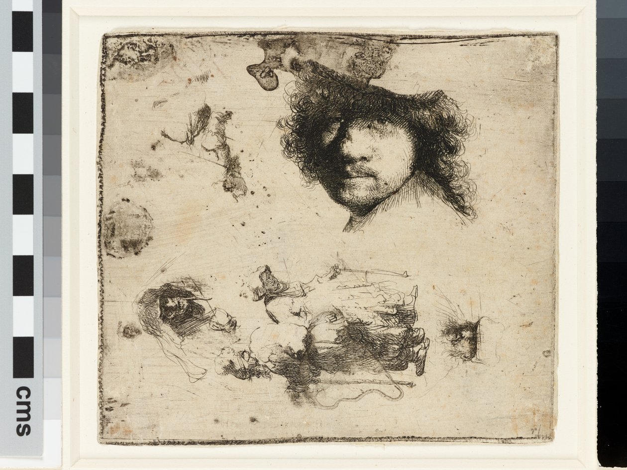 Feuille d