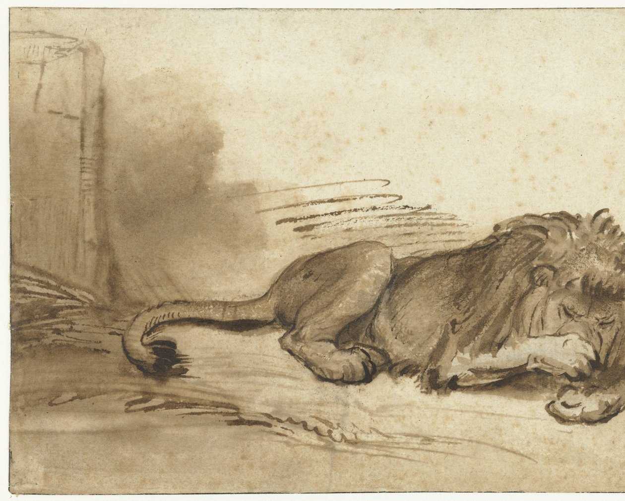Lion couché avec sa patte avant sur son museau - Rembrandt van Rijn (school of)