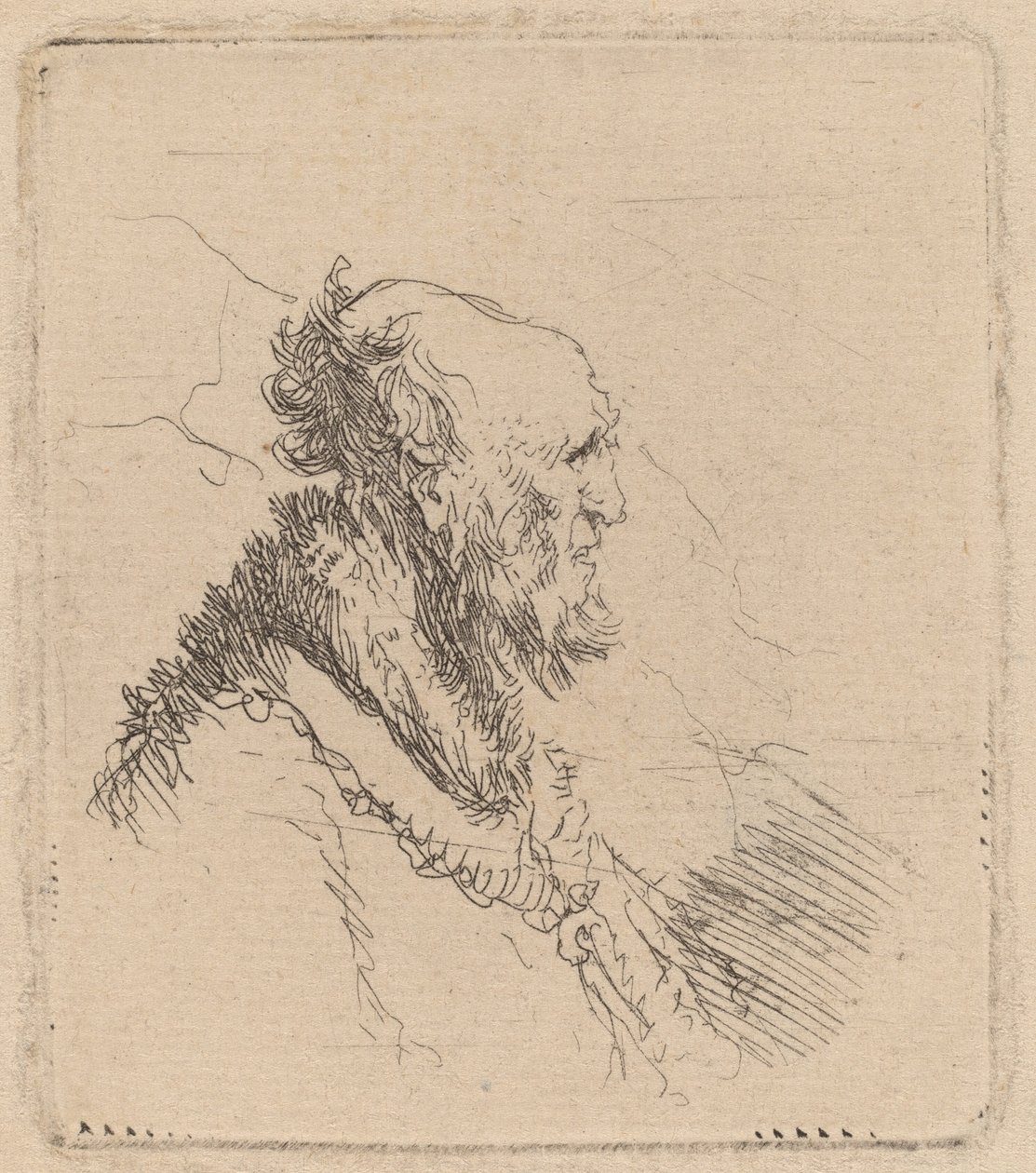 Vieil homme chauve avec une courte barbe de profil - Rembrandt van Rijn