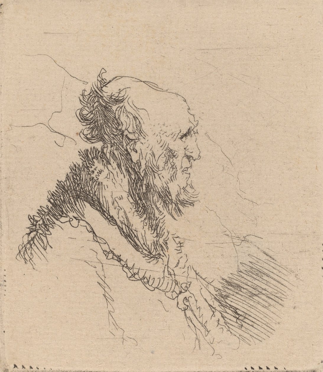 Vieil homme chauve avec une courte barbe de profil - Rembrandt van Rijn