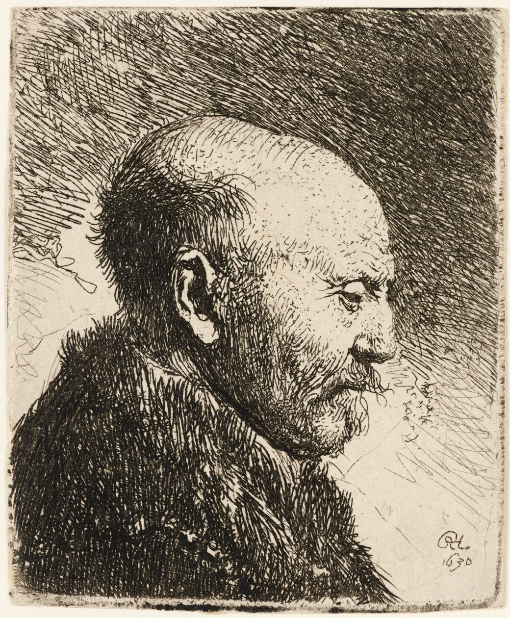 Homme chauve de profil droit : le père de Rembrandt 1630 - Rembrandt van Rijn