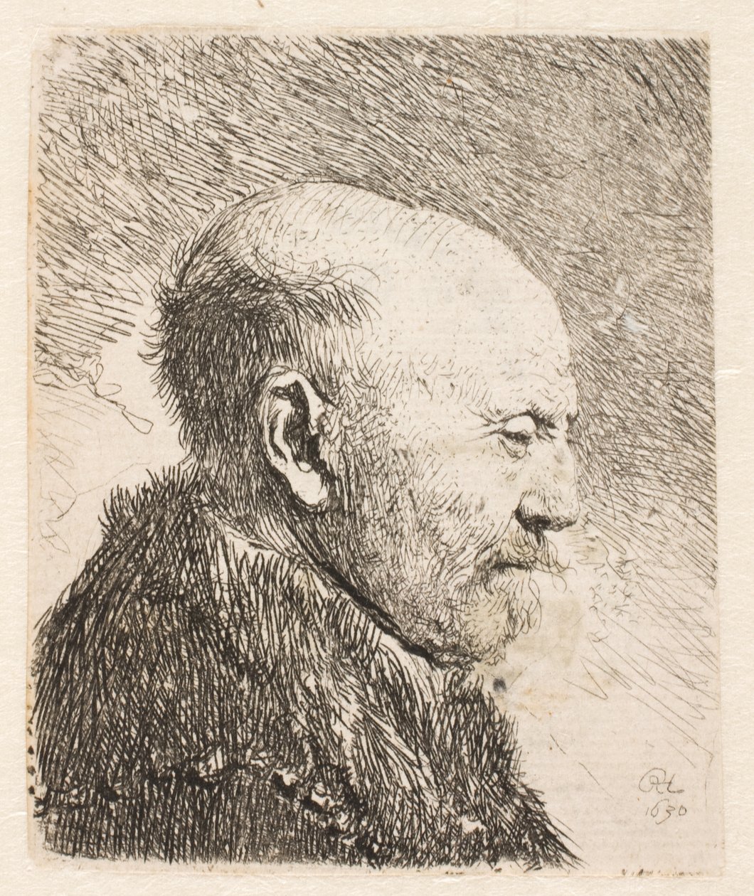 Homme chauve de profil (le père de Rembrandt?) - Rembrandt van Rijn