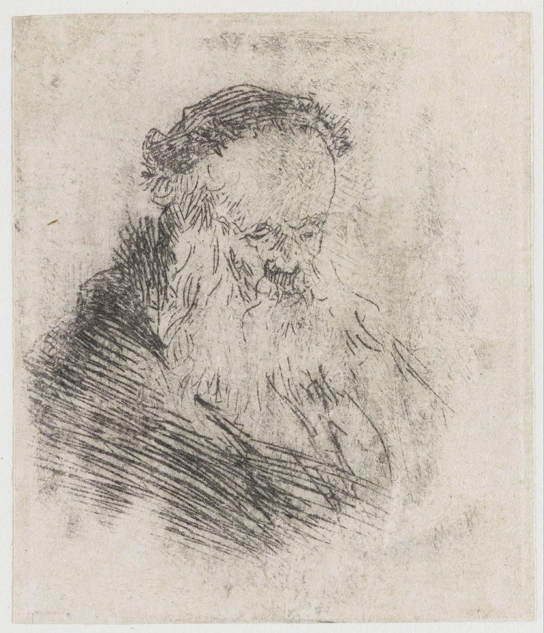 Vieil homme barbu au front haut - Rembrandt van Rijn