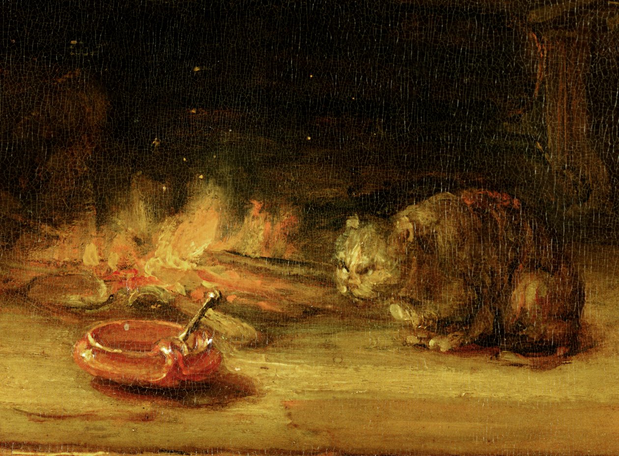 Chat (détail) - Rembrandt van Rijn