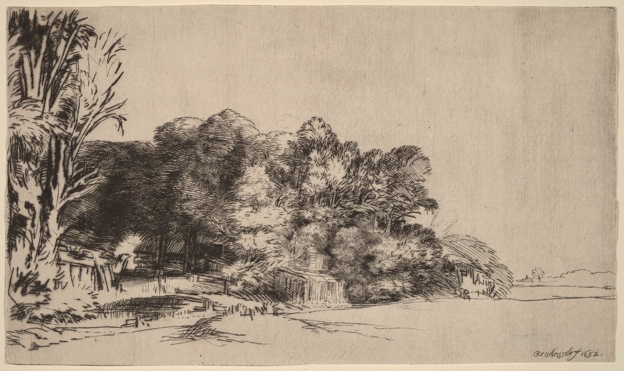 Un bosquet offrant une belle vue - Rembrandt van Rijn