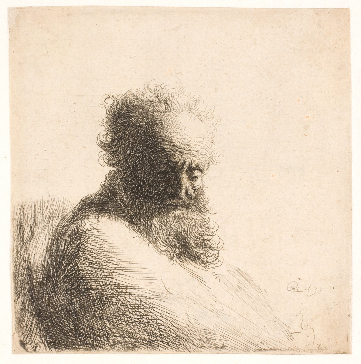 Vieil Homme Barbu. Buste - Rembrandt van Rijn