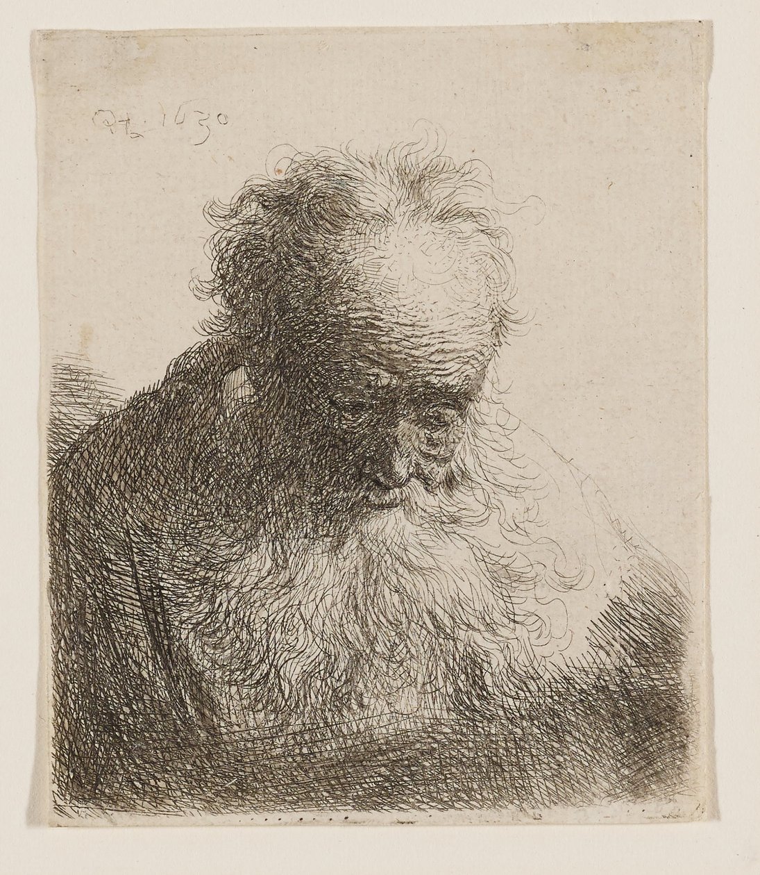 Vieil homme à la barbe longue (la tête penchée vers l