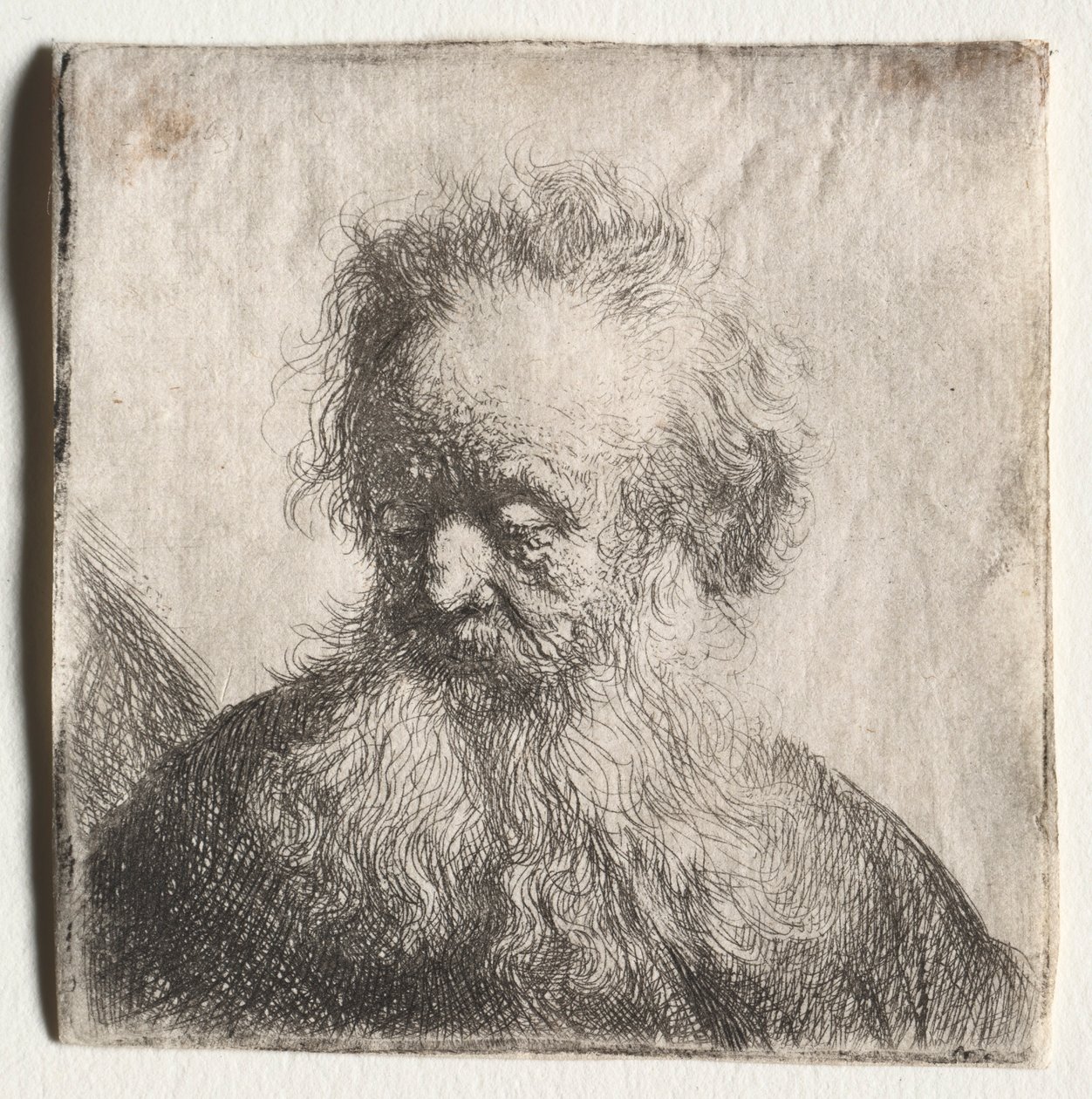 Vieil homme à la barbe flottante : Buste, 1631 - Rembrandt van Rijn