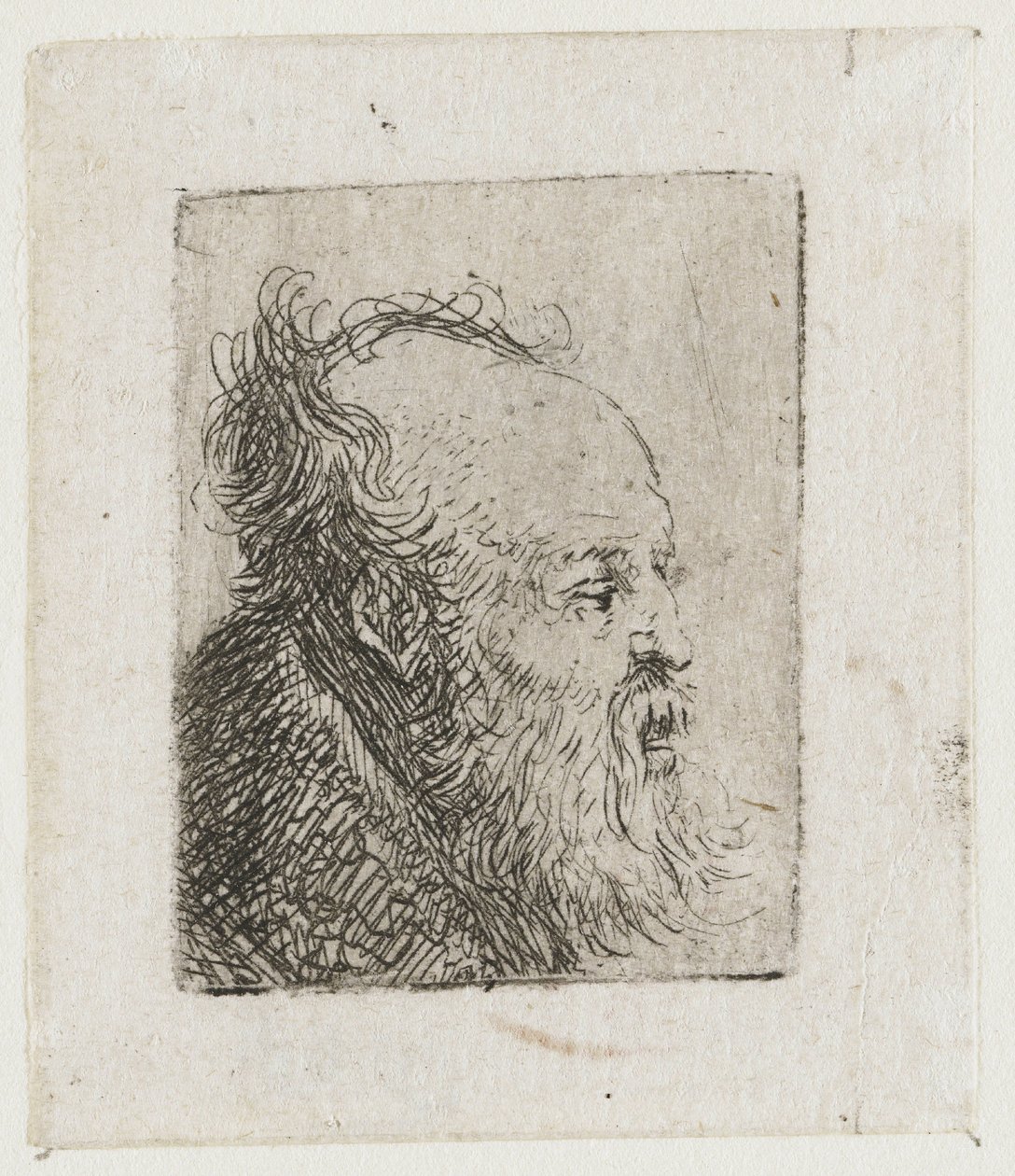 Vieil homme barbu, la bouche entrouverte - Rembrandt van Rijn