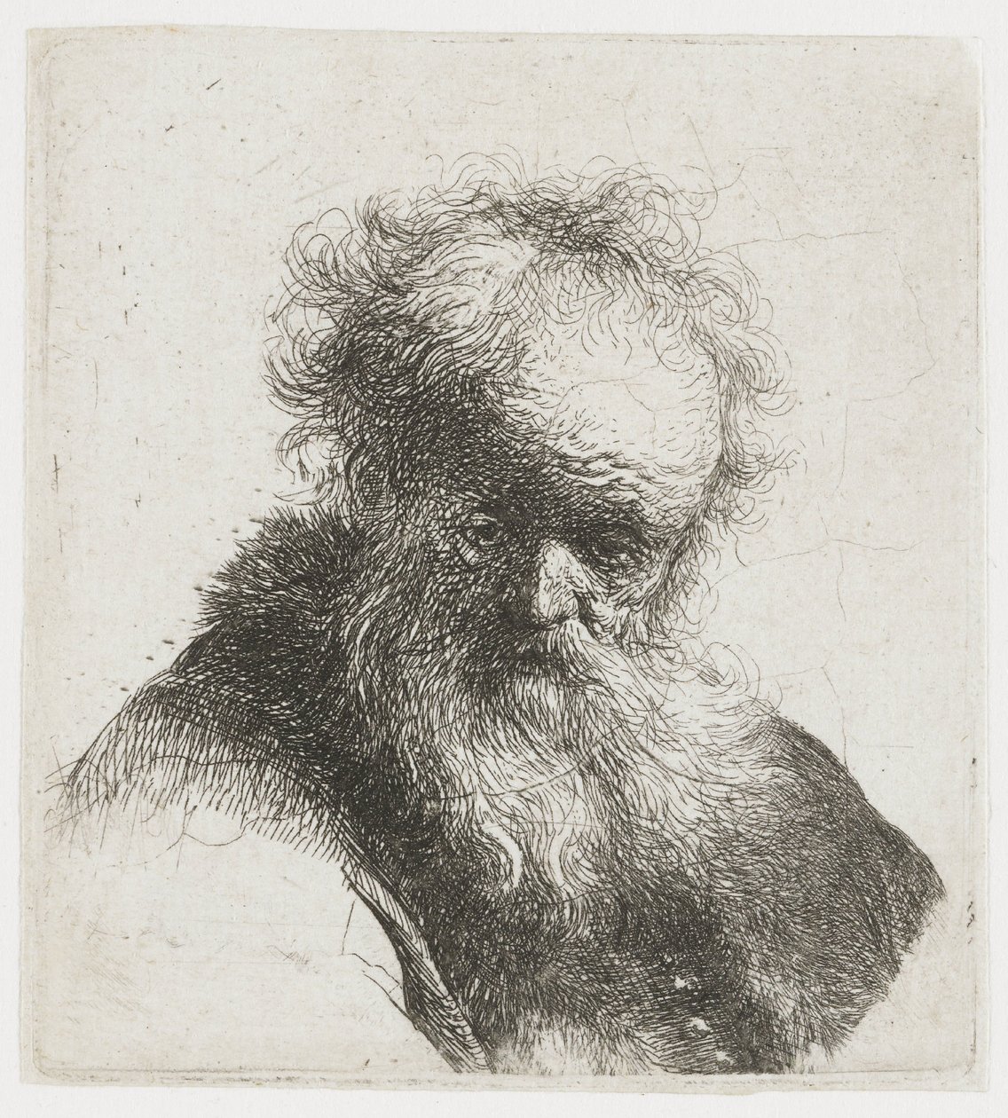 Vieil homme à la longue barbe, avec une manche blanche - Rembrandt van Rijn