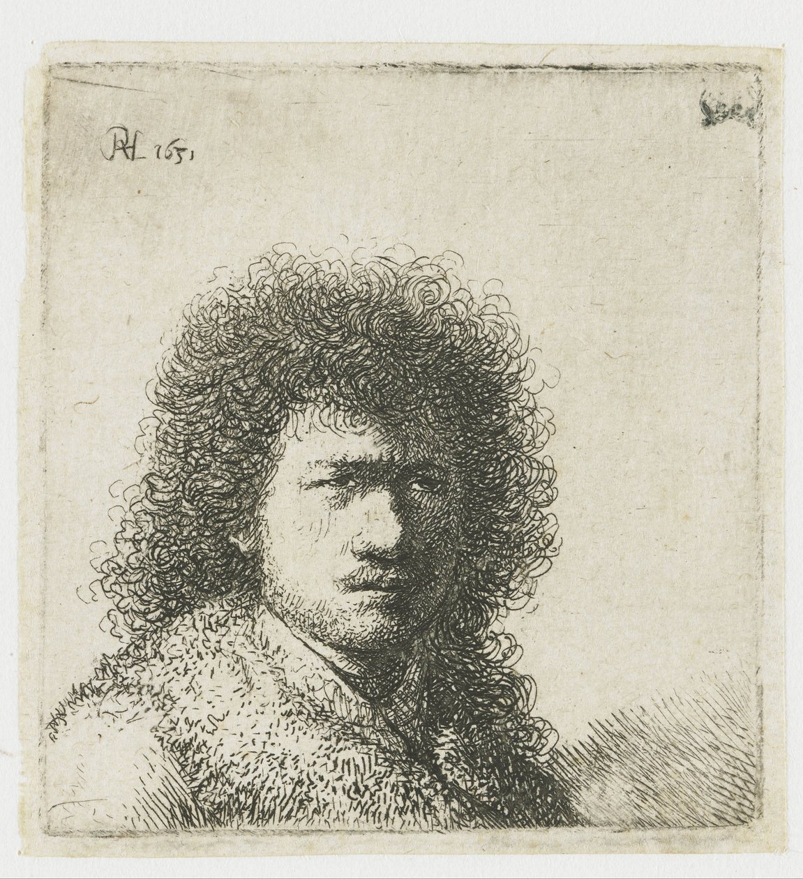 Autoportrait avec cheveux touffus : buste - Rembrandt van Rijn