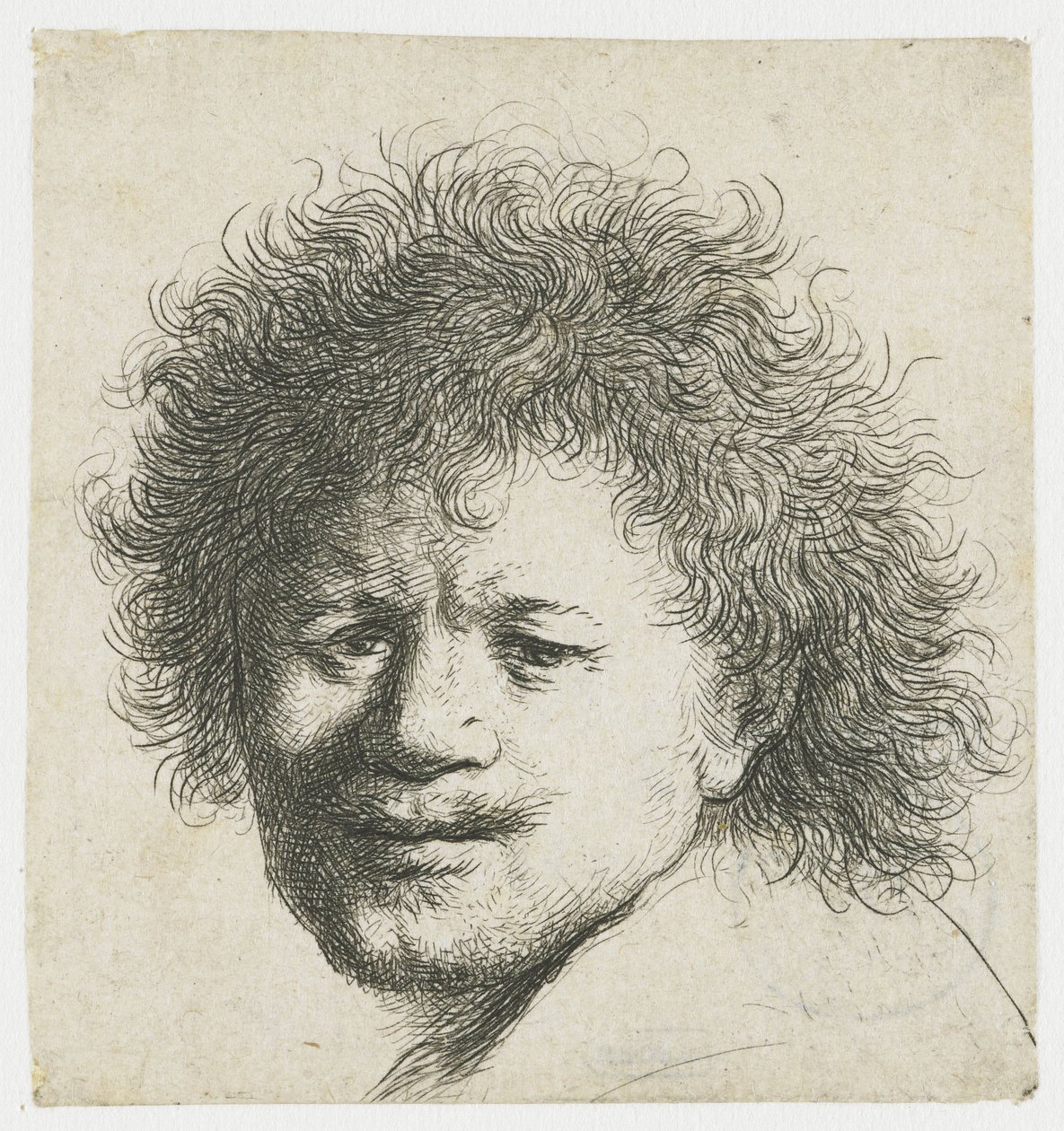 Autoportrait avec cheveux longs et touffus : tête seulement - Rembrandt van Rijn