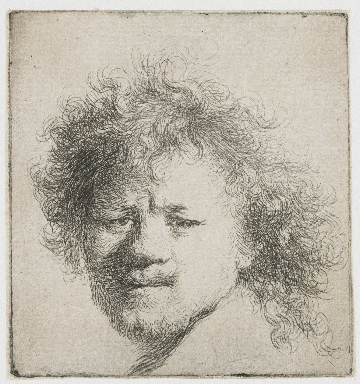 Autoportrait avec cheveux longs et touffus : tête seulement - Rembrandt van Rijn