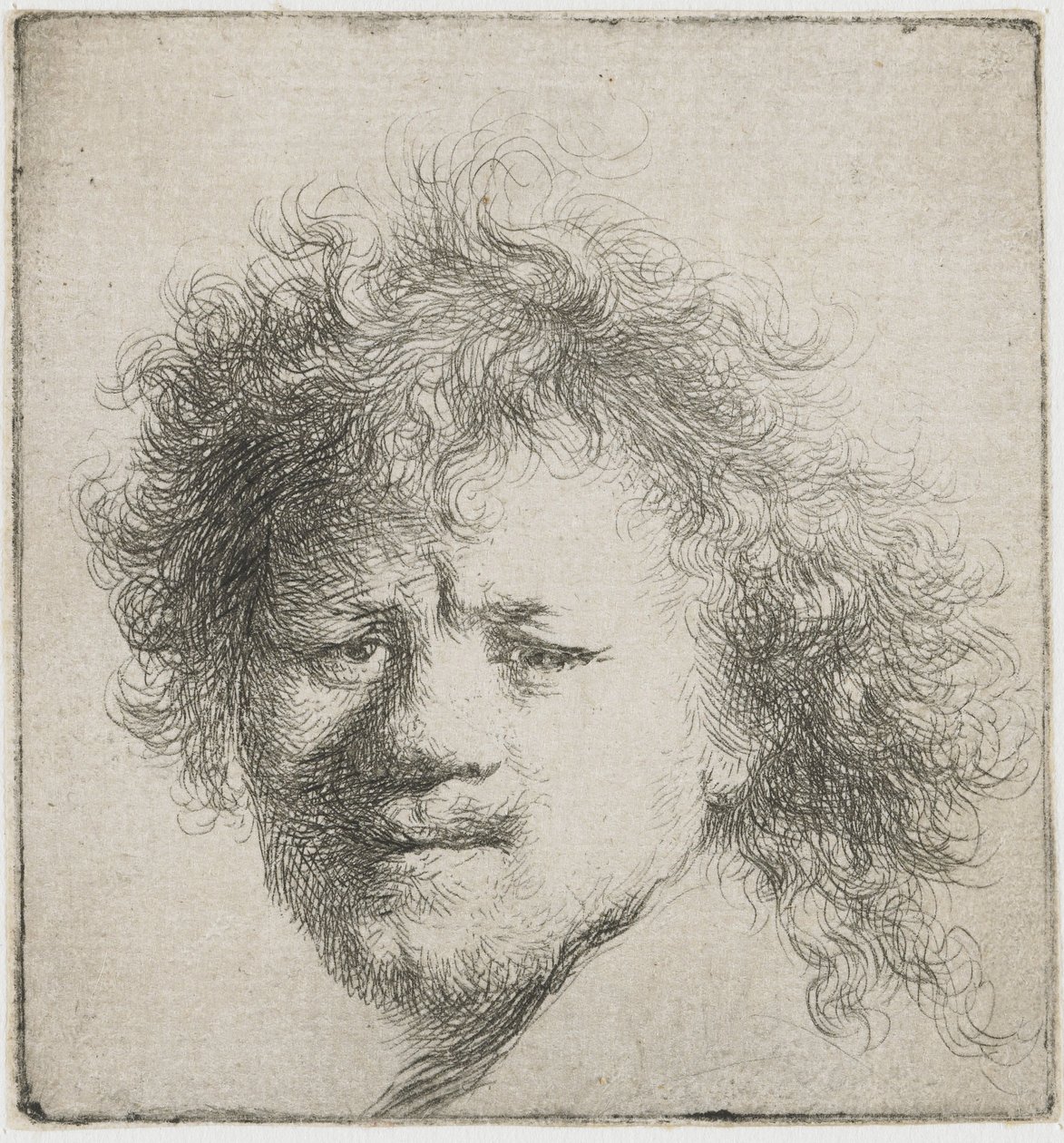 Autoportrait avec cheveux longs et touffus : tête seulement, vers 1631 - Rembrandt van Rijn
