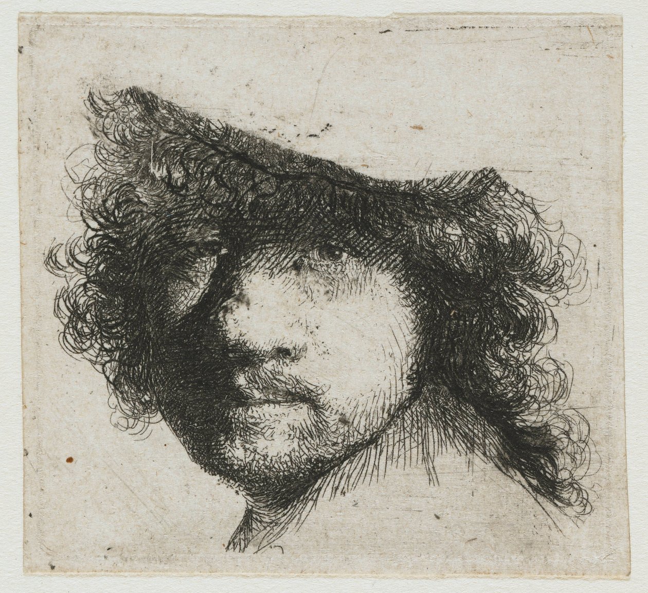 Feuille d