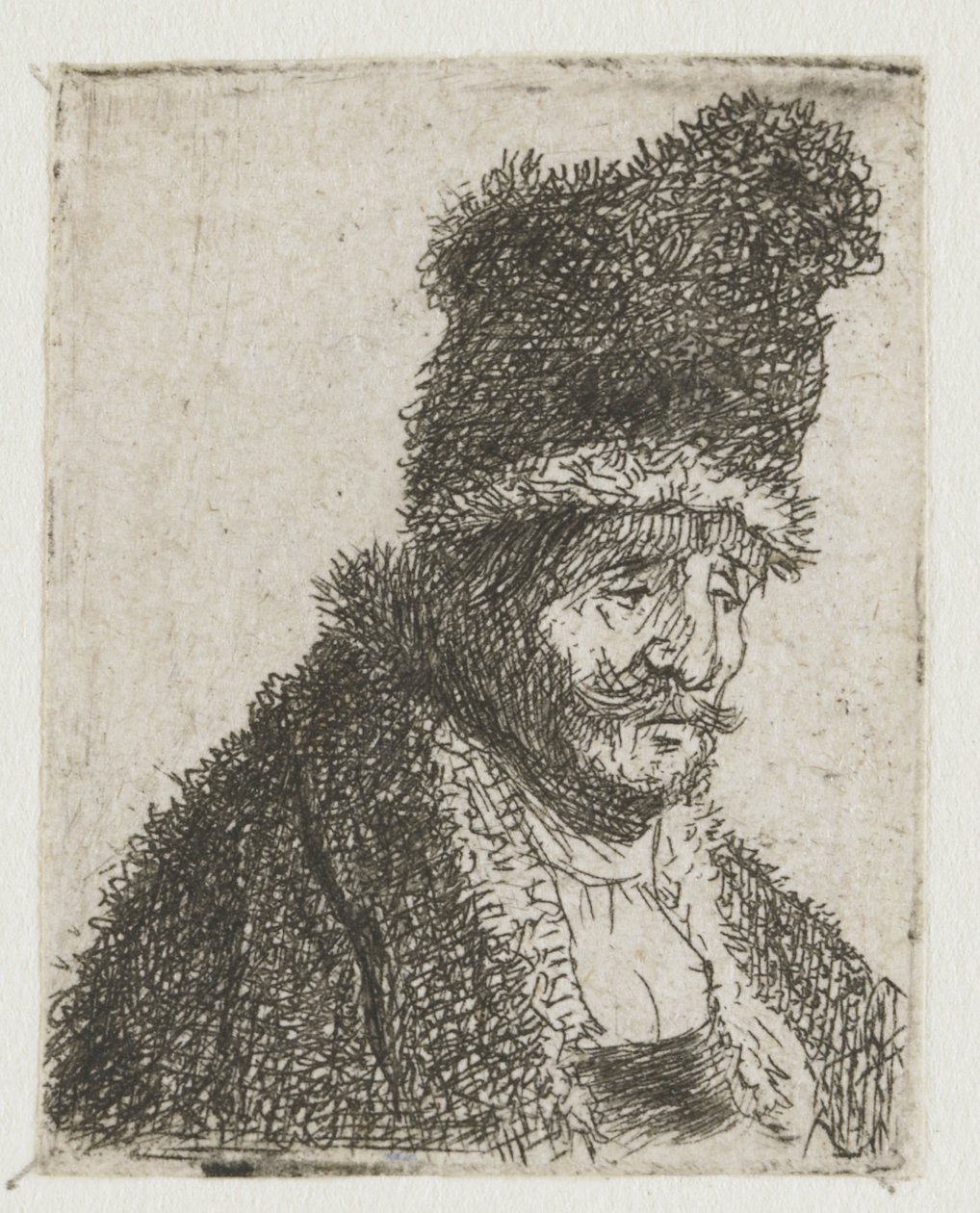 Feuille d