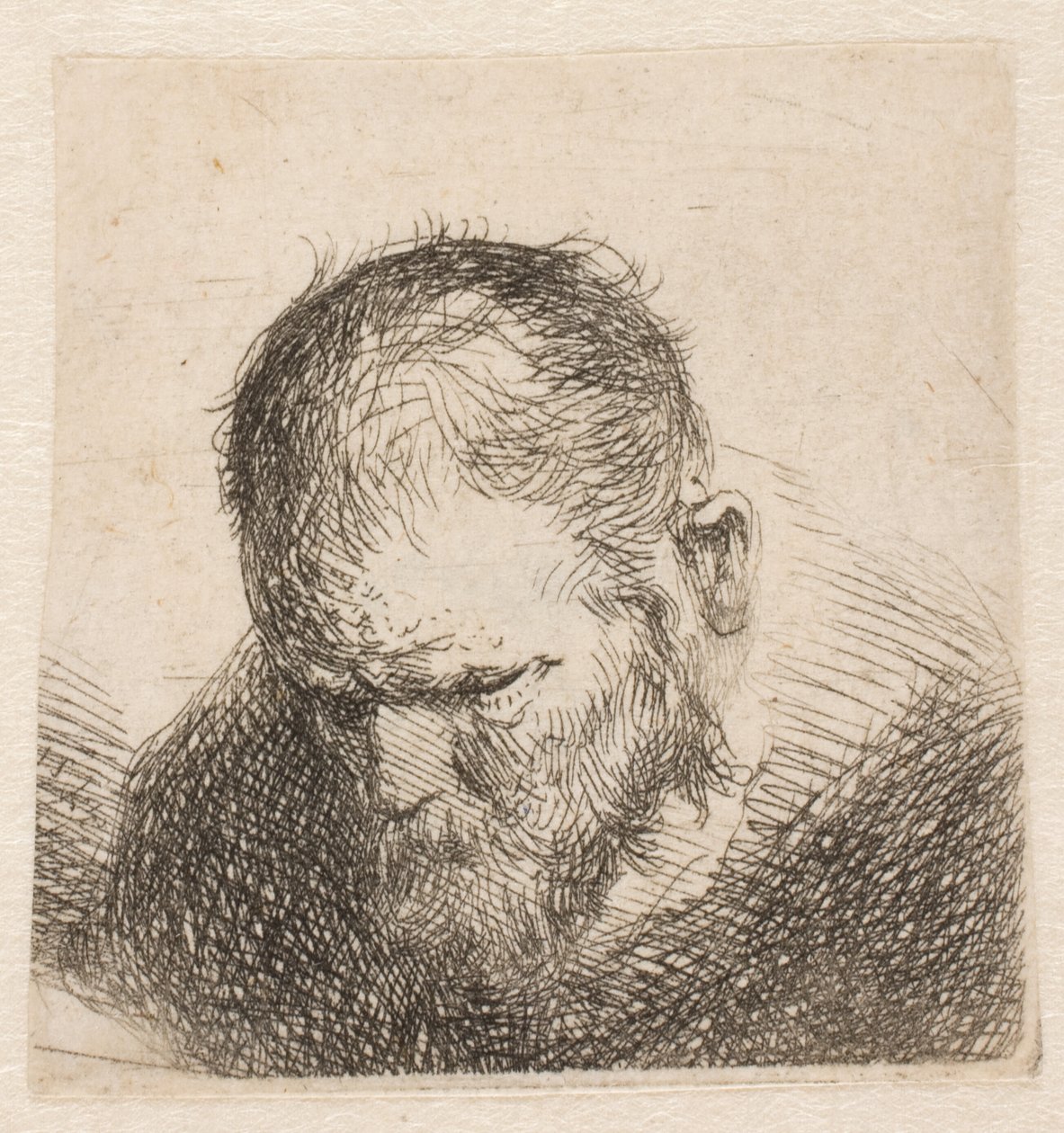 Petit buste représentant un homme barbu regardant vers le bas, les yeux presque fermés - Rembrandt van Rijn