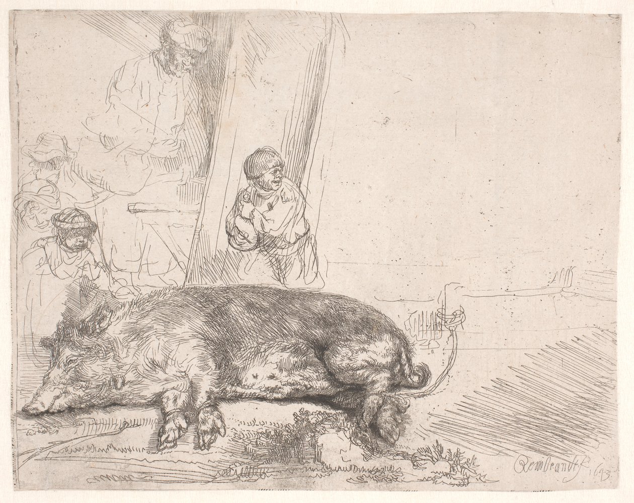 Le cochon - Rembrandt van Rijn