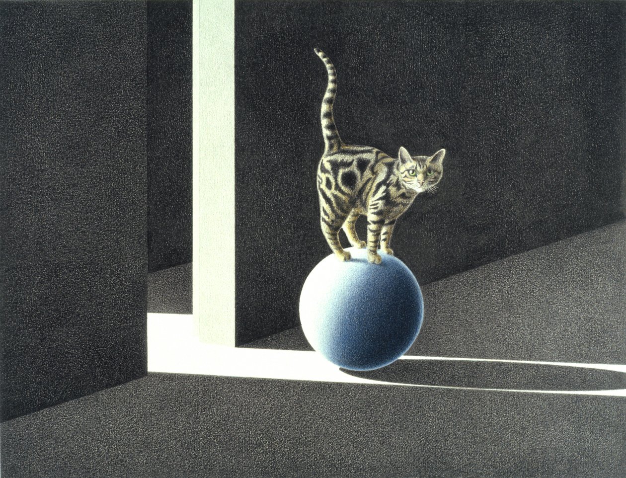Balle bleue - Rene Boin