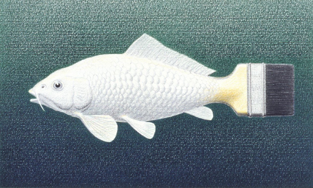 Poisson-pinceau, 2003 - Rene Boin