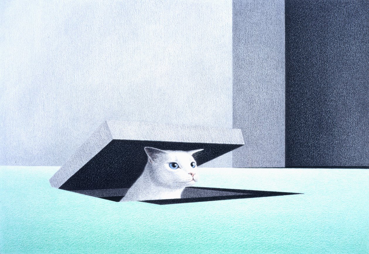 Éclosion - Rene Boin