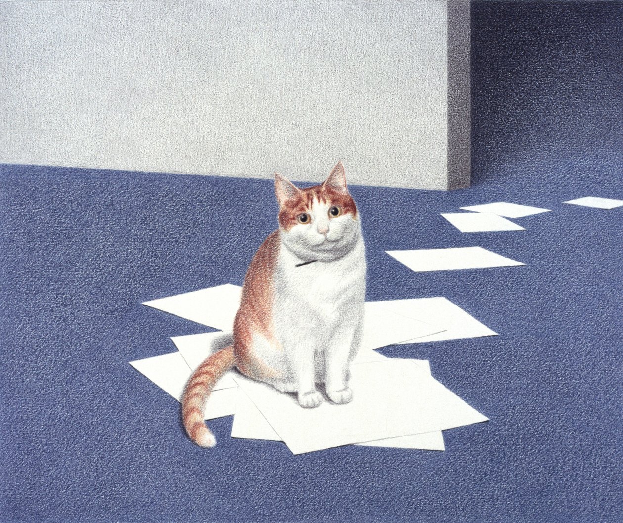 Papiers - Rene Boin