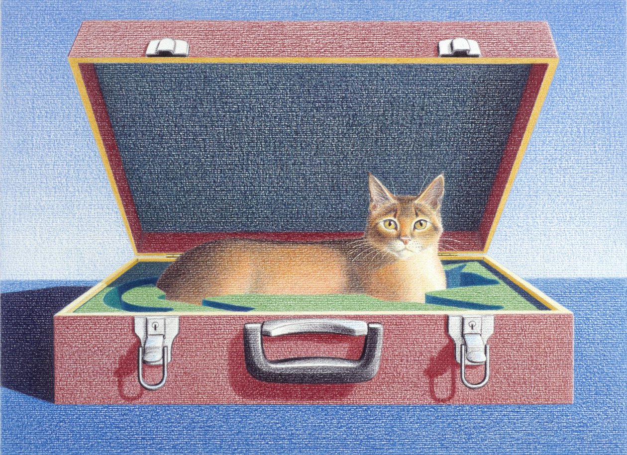 Valise 2 - Rene Boin