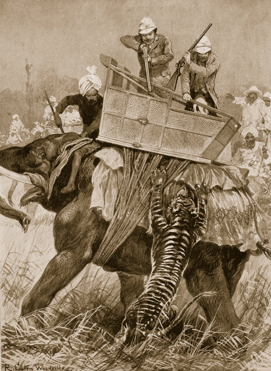 La visite du prince de Galles en Inde, 1876 : L