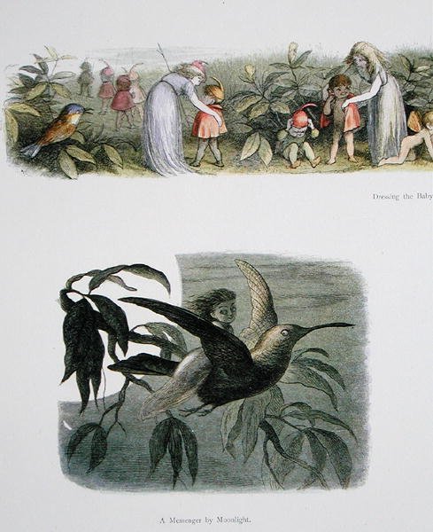 Habiller les bébés elfes, et Un messager au clair de lune, illustrations de In Fairyland: A Series of Pictures from the Elf-World par William Allingham et Andrew Lang - Richard Doyle