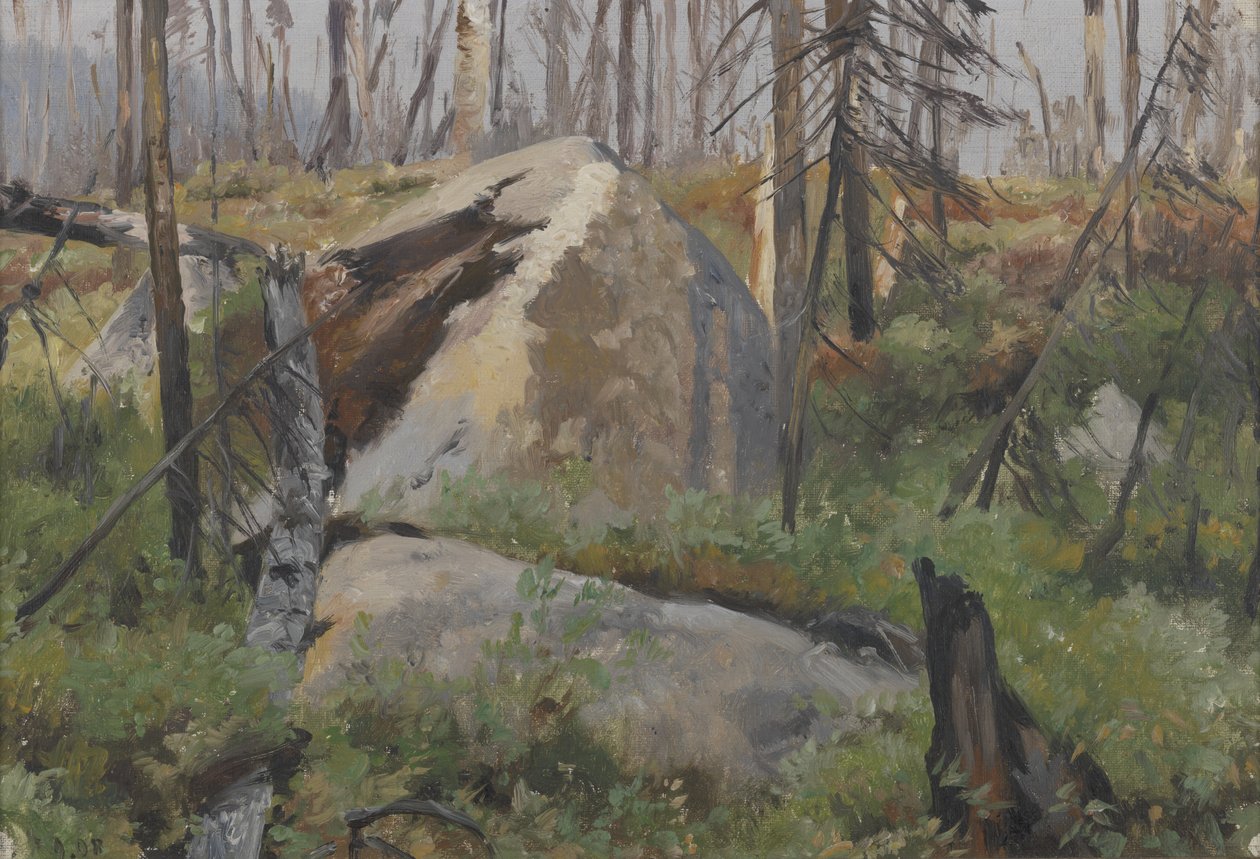 Forêt morte au Canada - Richard Friese