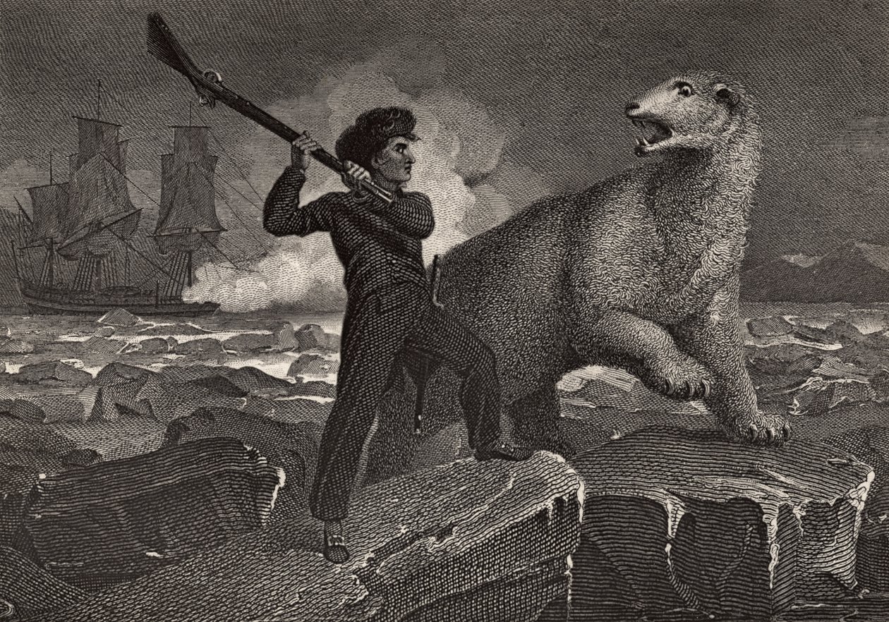 La rencontre de Nelson avec un ours, illustration de 