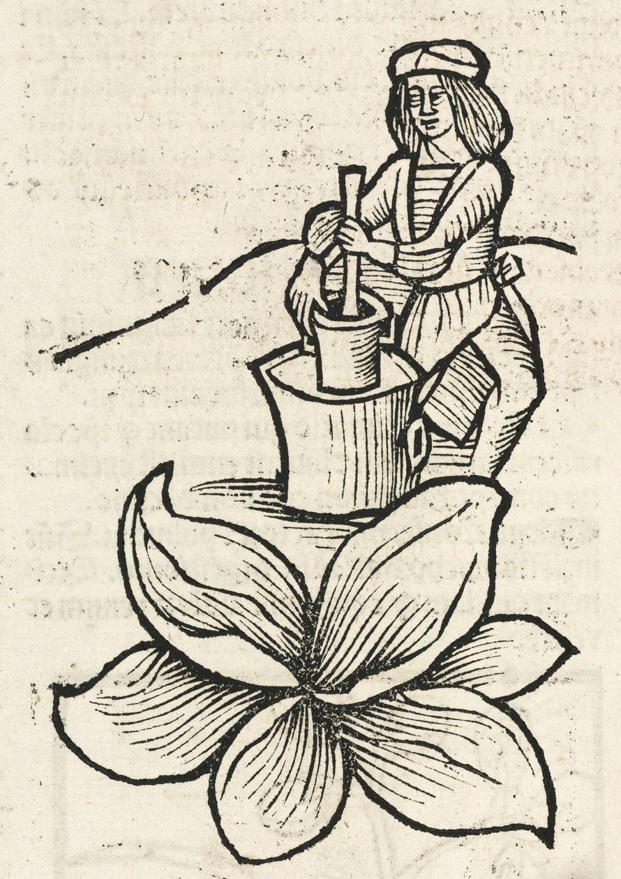 Homme médiéval utilisant un pilon et un mortier pour écraser des plantes - John Pardon