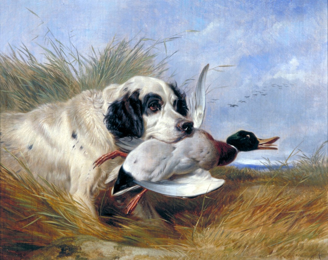 Chien avec canard sauvage, 19e siècle - Richard Ansdell