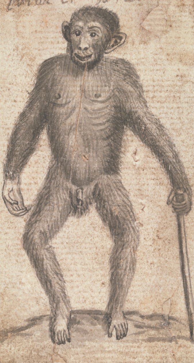 Singes (un des trois sur une monture) - Richard Brookes