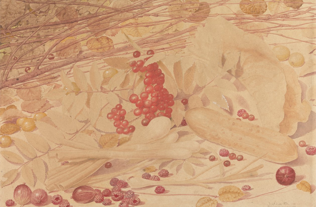 Nature morte avec groseilles, framboises, groseilles rouges, oignons de printemps, cornichon et feuillage - Richard Dadd