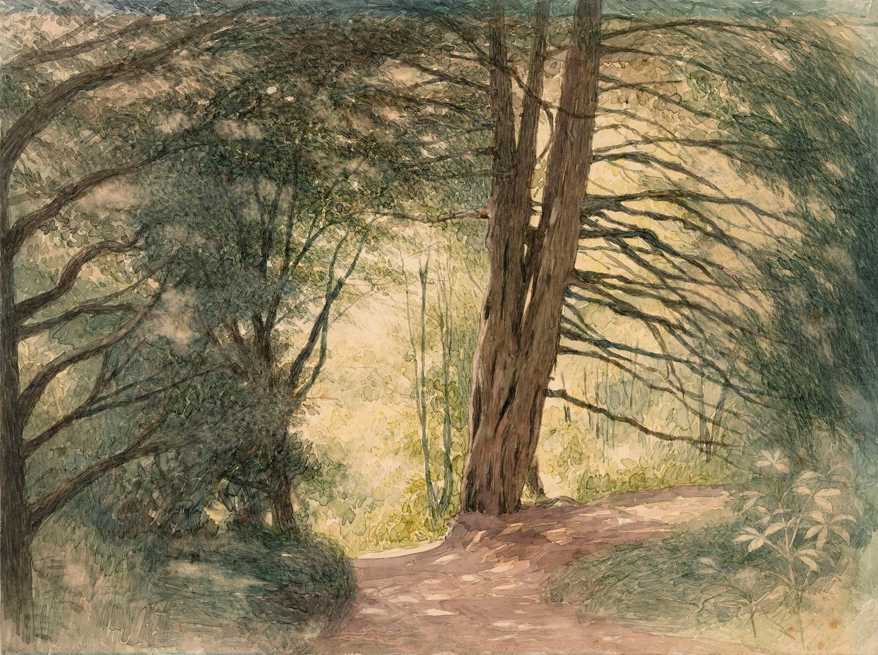 Box Hill, Surrey - Richard Doyle
